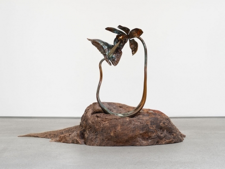 Isabelle Albuquerque , To be the wood, to be the water, to be with you, 2026 , Perrotin