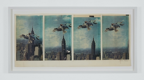 Anita Steckel , Untitled (