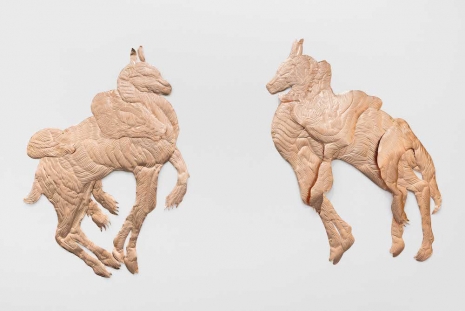Bekhbaatar Enkhtur, Untitled, 2026, Pedro Cera
