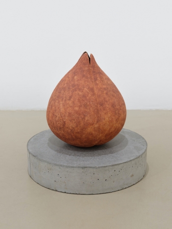 Clara Spilliaert , Perzik, 2024 , Keteleer Gallery