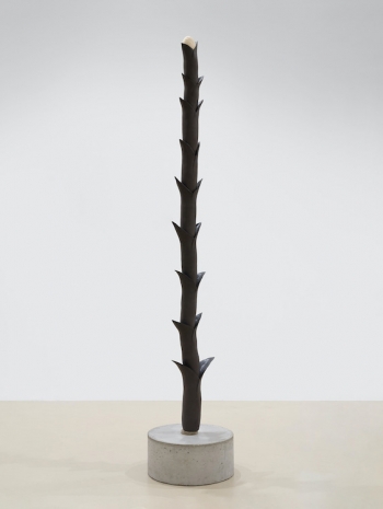 Clara Spilliaert , Bamboe, 2024 , Keteleer Gallery