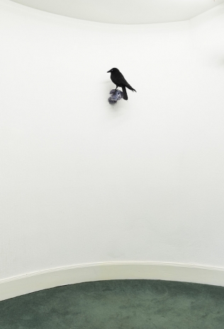Sooun Kim, Fray Perch, 2025, Patricia Fleming Gallery