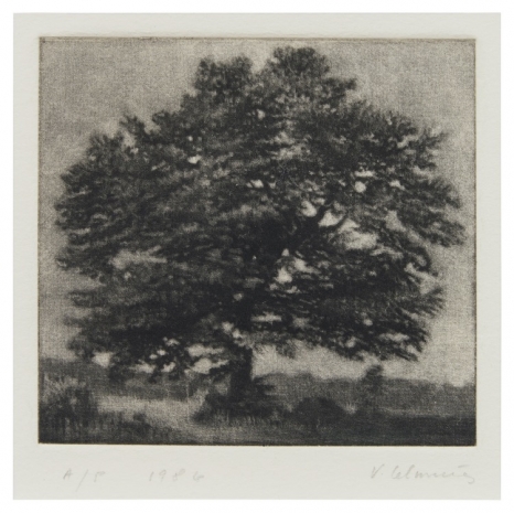 Vija Celmins, Untitled (Tree) from The View, 1986 , Matthew Marks Gallery