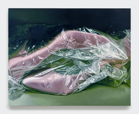 Charlotte Fox, Decay, 2026 , 303 Gallery