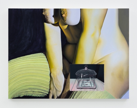 Charlotte Fox, Persona, 2026 , 303 Gallery