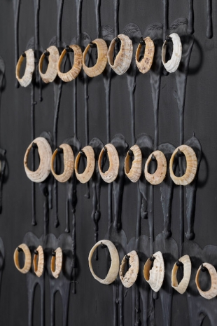 Siobhán Hapaska, Article 1 UDHR, 2026, Kerlin Gallery