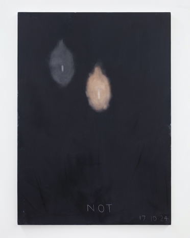Not Vital , 3 Self-portraits, 2024 , Galerie Nordenhake
