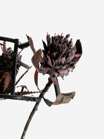 Sterling Ruby, Bound Flowers. Couple. (9188), 2026, Gagosian