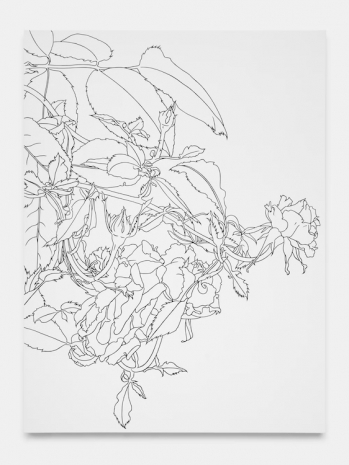 Caitlin Keogh, 07.29.25, 2026, Bortolami Gallery