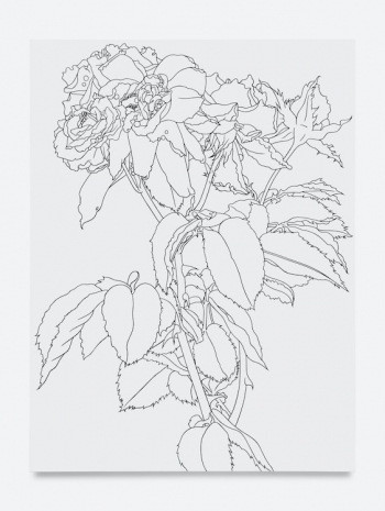 Caitlin Keogh, 07.18/19.25, 2026 , Bortolami Gallery