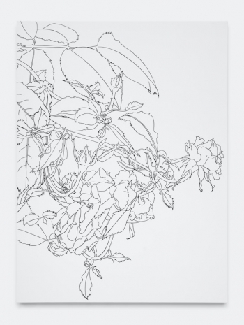 Caitlin Keogh, 07.29.25, 2026 , Bortolami Gallery