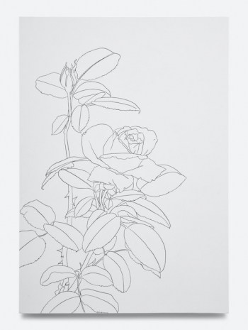 Caitlin Keogh, 07.22.25, 2025, Bortolami Gallery