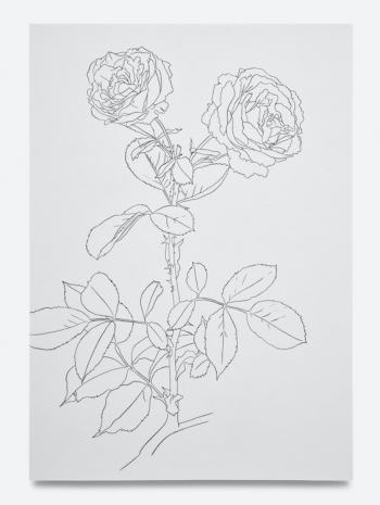 Caitlin Keogh, 07.10.25, 2025 , Bortolami Gallery