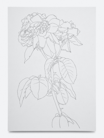 Caitlin Keogh, 07.18.25, 2025 , Bortolami Gallery
