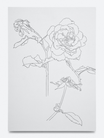 Caitlin Keogh, 07.11.25, 2025 , Bortolami Gallery