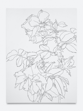 Caitlin Keogh, 07.12.25, 2026 , Bortolami Gallery