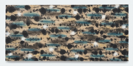 Tran Luong, Under the Flowing 11, 2025-26 , Bortolami Gallery