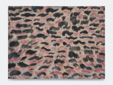 Tran Luong, Under the Flowing 4, 2025 , Bortolami Gallery