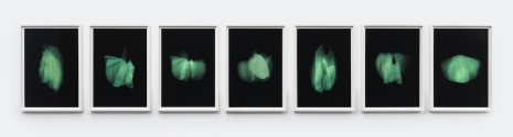 Pierre Huyghe , Dance for Radium, 2014, Galerie Chantal Crousel