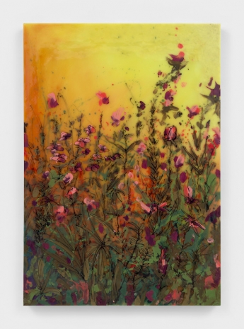 Kevin Beasley , Garden V (In Light), 2026 , Casey Kaplan