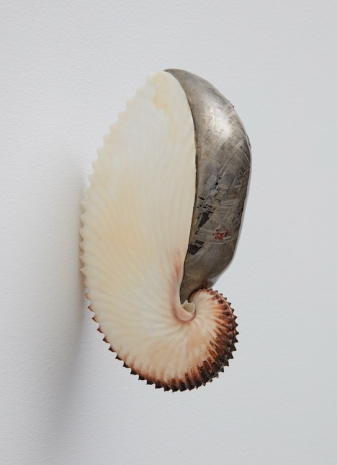 ZAC LANGDON-POLE , Passport (Argonauta) (x), 2019 , Sean Kelly