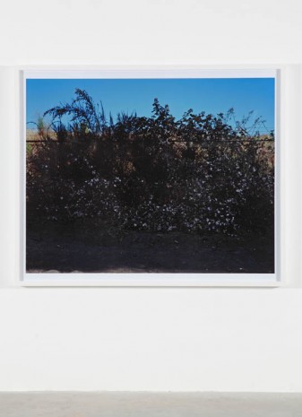 Andrew Dadson, Black Barbed Wire, 2013, Galleria Franco Noero