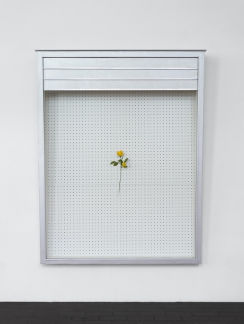 FORT, One in a Million 20, 2026, Sies + Höke Galerie