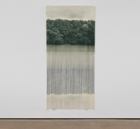 Ana González , AMAZONIA III, 2025 , Sean Kelly