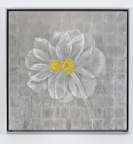 Laurent Grasso , Future Herbarium, , Sean Kelly