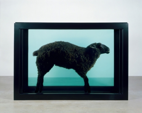 Damien Hirst , Black Sheep, 2007 , Gagosian