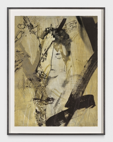 Matt Saunders, Birkin Rosso 6, 2025 , Marian Goodman Gallery