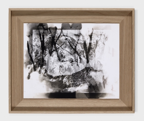 Matt Saunders, Overgrown, 2026 , Marian Goodman Gallery
