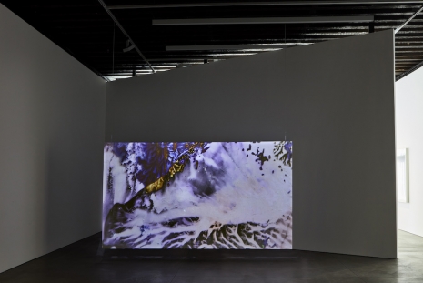 Matt Saunders, On an Overgrown Path (Floods), 2026 , Marian Goodman Gallery