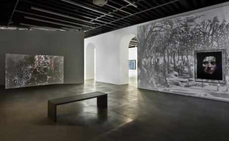 Matt Saunders, On an Overgrown Path, 2026 , Marian Goodman Gallery
