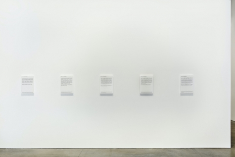 Daniel Joseph Martinez, The Post-Human Manifesto for the Future; On the Origin of Species or E=hν (+) We are here to hold humans accountable for crimes against humanity Or In the twilight of the empire, in the spider hole where the masters of the earth have gone..., 2026, Marian Goodman Gallery