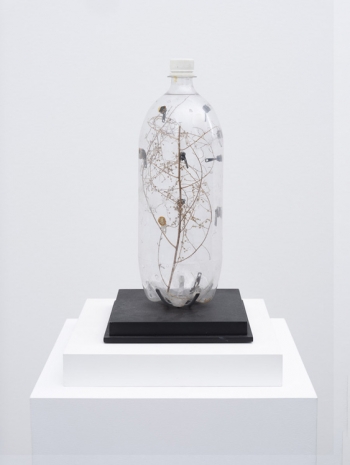 David Hammons , Flies in a Bottle, 1996 , Gladstone Gallery
