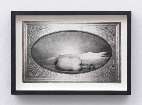 George Platt Lynes , Mel Fillini in Frame #2 [Male Nude in Cartouche], 1954 , Gladstone Gallery