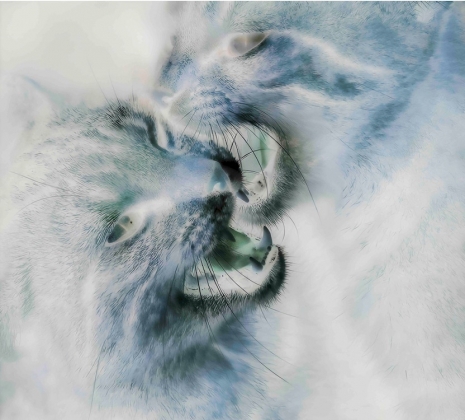 Shahryar Nashat, Untitled (Two Cats Fighting), 2026 (detail), Gladstone Gallery