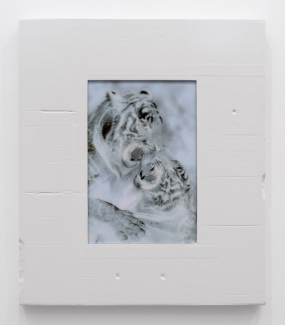 Shahryar Nashat, Untitled (Two Tigers Fighting), 2026, Gladstone Gallery