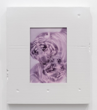 Shahryar Nashat, Untitled (Two Tigers Fighting), 2026, Gladstone Gallery
