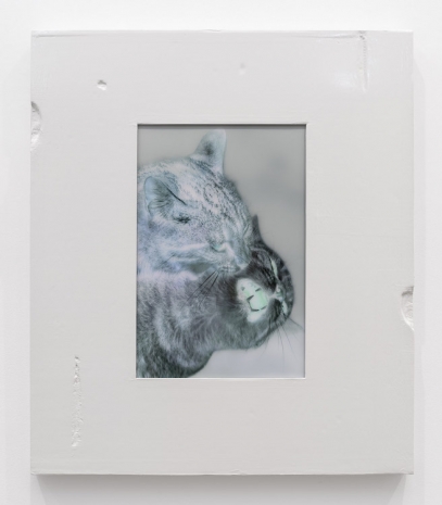 Shahryar Nashat, Untitled (Two Cats Fighting), 2026, Gladstone Gallery