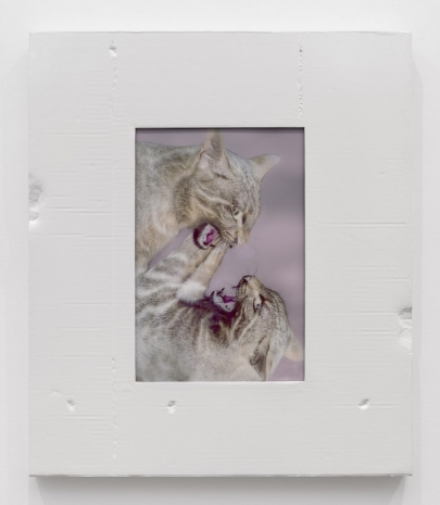 Shahryar Nashat, Untitled (Two Cats Fighting), 2026, Gladstone Gallery