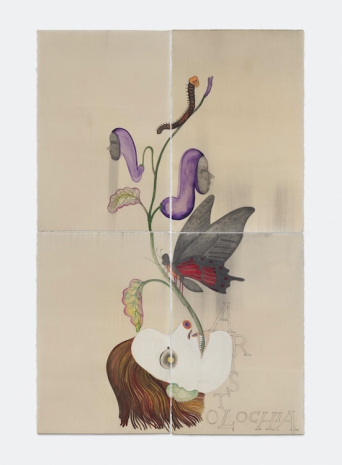 Sandra Vásquez de la Horra, Metamorfosis, 2023 , Tanya Bonakdar Gallery