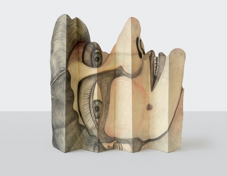 Sandra Vásquez de la Horra, Eclipsada, 2026 , Tanya Bonakdar Gallery