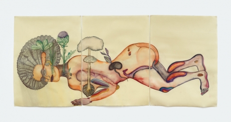 Sandra Vásquez de la Horra, Nacer de la Pacha-Mama, 2026 , Tanya Bonakdar Gallery