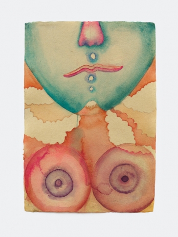 Sandra Vásquez de la Horra, Los Nevados Míos, 2026 , Tanya Bonakdar Gallery