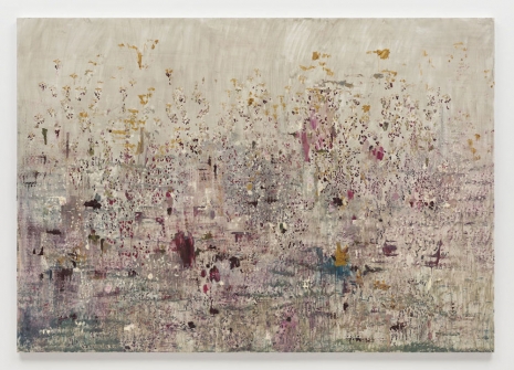 Marina Rheingantz, Míope, 2026 , White Cube