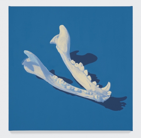 Kristopher Wright , Moon Dog, 2026 , Boesky Gallery