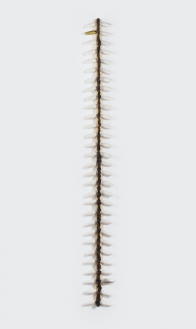 Masud Olufani , Backbone, 2026 , Boesky Gallery