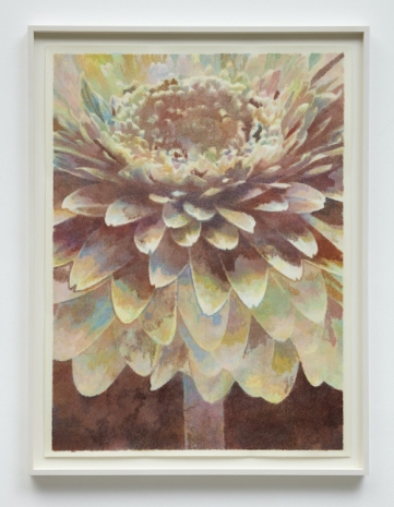 Sarah Meyohas , Untitled (Daisy), 2025 , Boesky Gallery